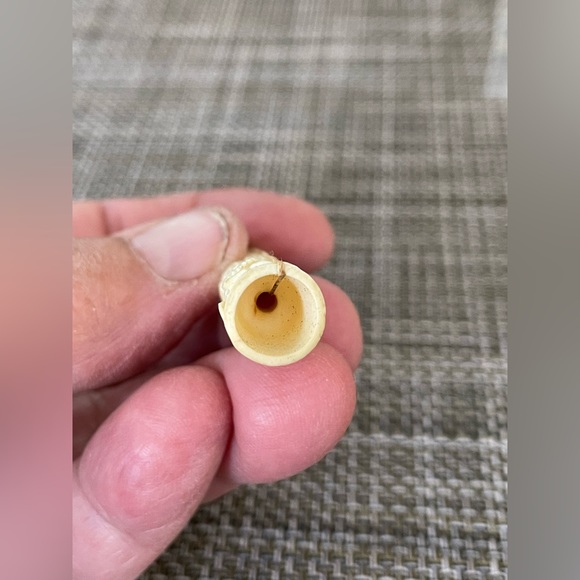 Vintage carved bone cigarette holder - Picture 5 of 5